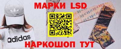 стаф Донской