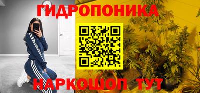 стаф Донской