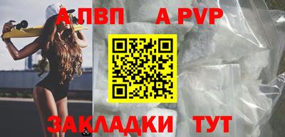 стаф Донской