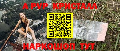 стаф Донской