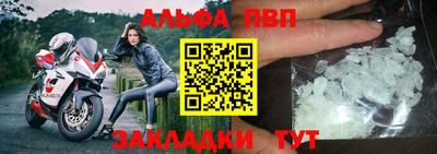 стаф Донской